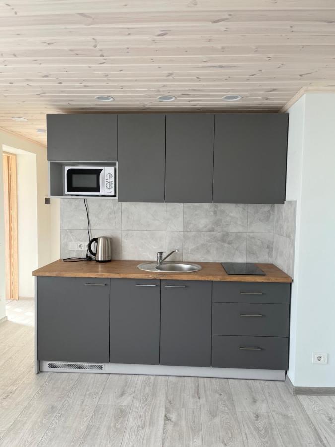 Ska Anyksciai Apartment Bagian luar foto